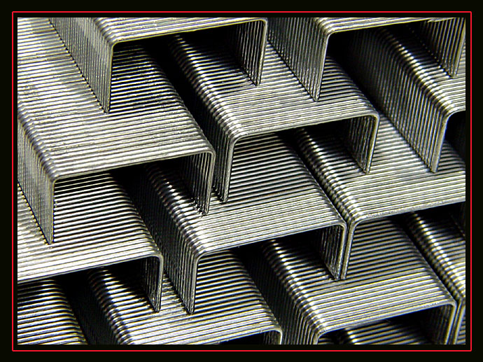 <b> 5th <br>staples </b>by Katherine Kenison