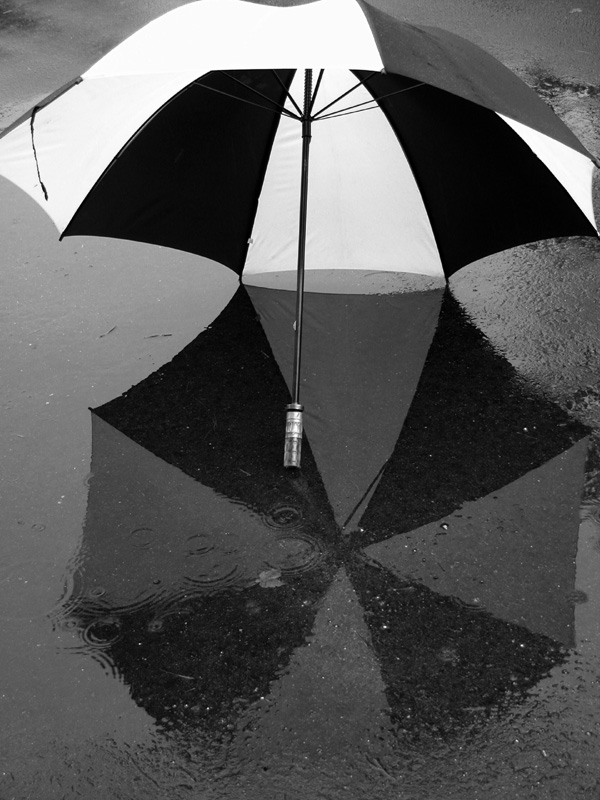 <p align=center><b> Rainy Day Reflection *</b> <br> <font size=1> by Phil Johnson</font></p>