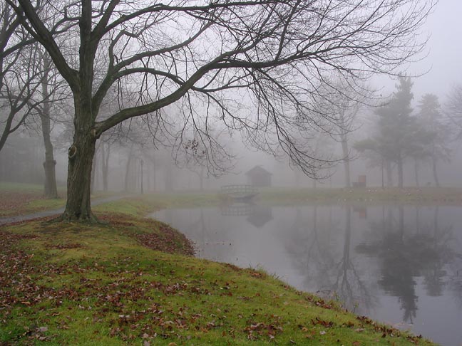 <b>Misty Morning</b><br><font size=1>by Tomrok