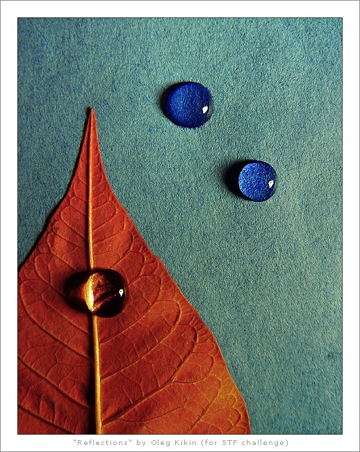 fourth place<br><b>Reflections</b><br>by Oleg Kikin