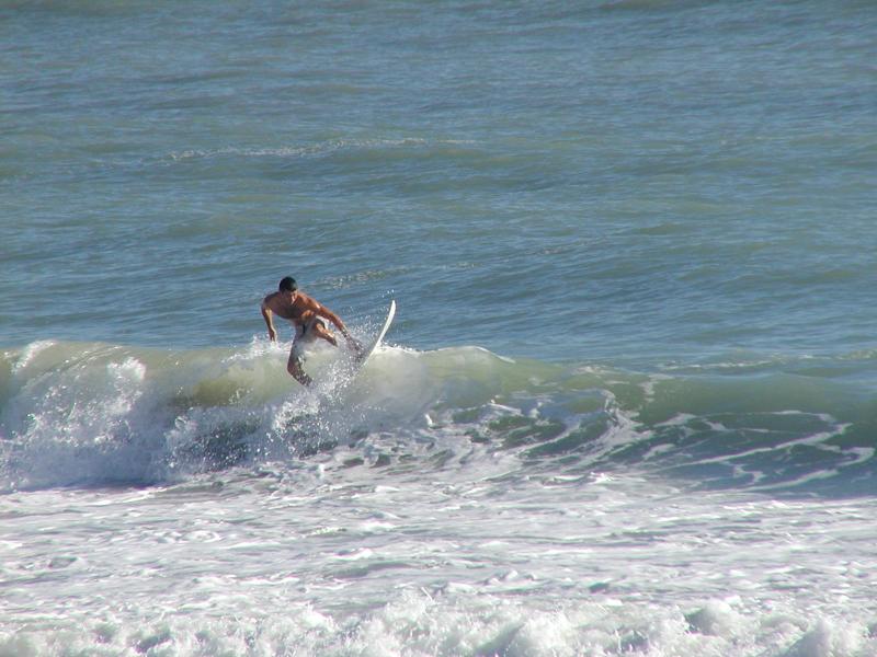 P1010042.jpg