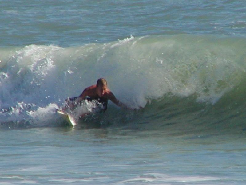 P1010079.jpg