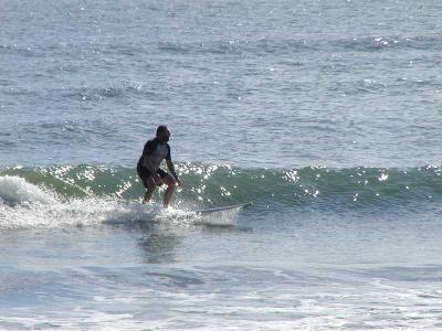 P1010084a.JPG