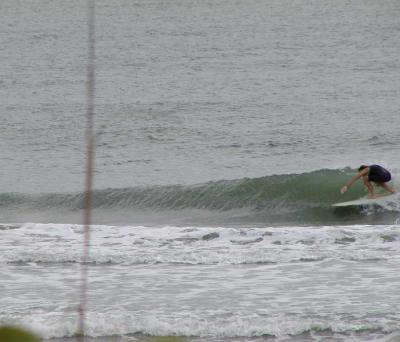 P1010071a.JPG