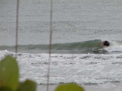 P1010072a.JPG