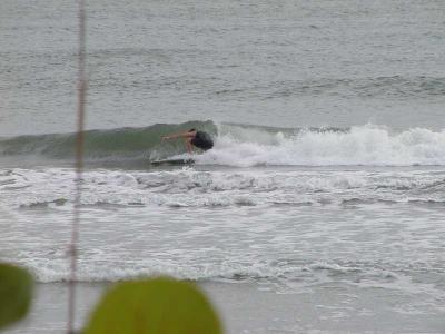 P1010073a.JPG