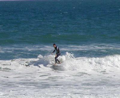 P1010007aa.JPG