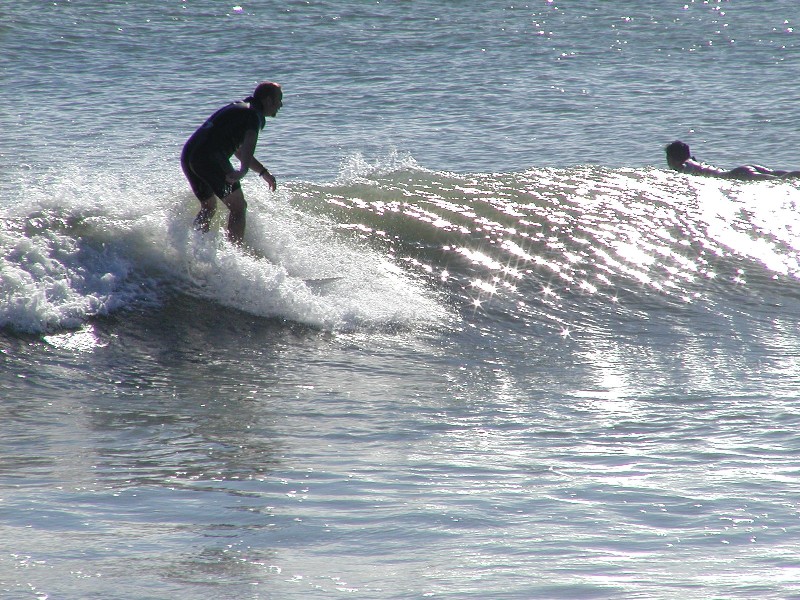 P1010077a.JPG