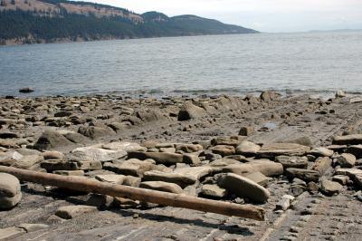 Beach2.jpg