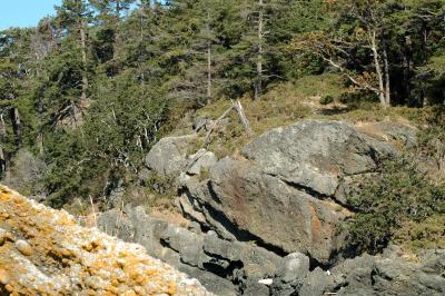 Tilly Point
