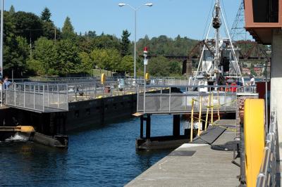 ballardLocks15.jpg