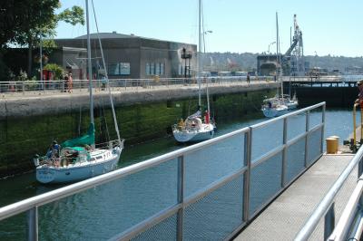 ballardLocks9.jpg
