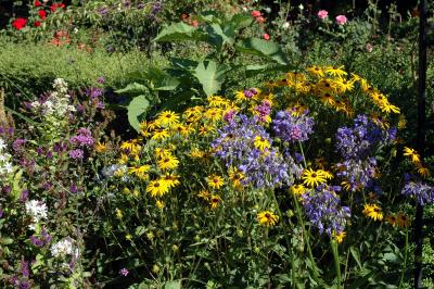 garden.jpg
