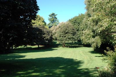 garden3.jpg
