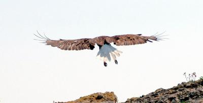 Pender Island 2