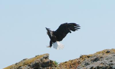 Pender Island 2