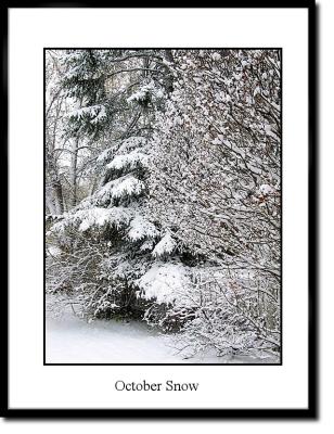 u36/terranceb/medium/23779470.October_Snow.jpg