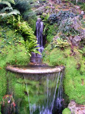 Japanese waterfall at Powerscourt