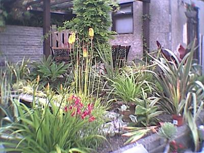 Sha`s Jungle Garden in South Wales