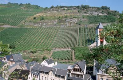 08-26-Hills around Bacharach