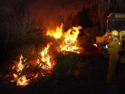 bigbend brush fire 022.JPG