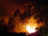 bigbend brush fire 047.JPG