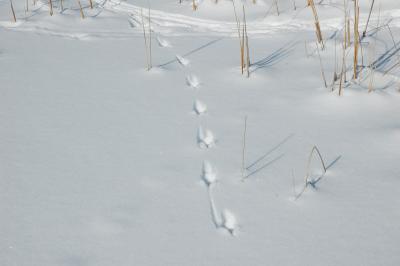 Mendon Ponds 7