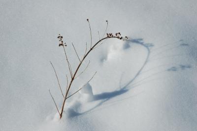 Mendon Ponds 6