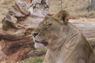 Oklahoma City ZOO - 28 Feb 2004