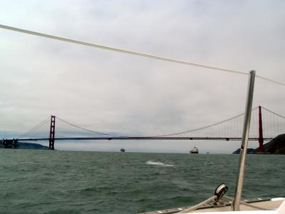 u36/toddrabbit/medium/32328431.reachinguptobridge000.jpg