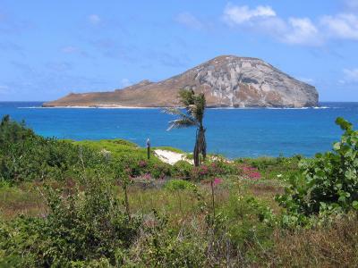 View from Sea Life Park