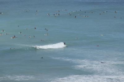 Waikiki Beach Surfers
