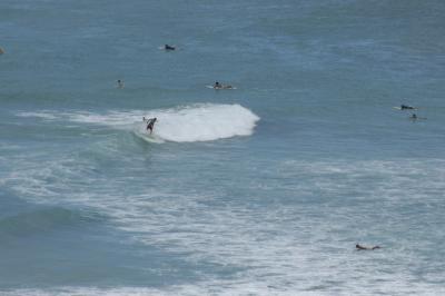 Waikiki Beach Surfers