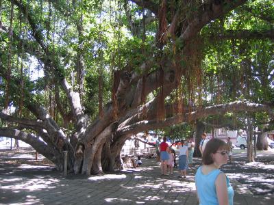 Lahaina
