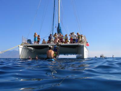 Trilogy Snorkeling
