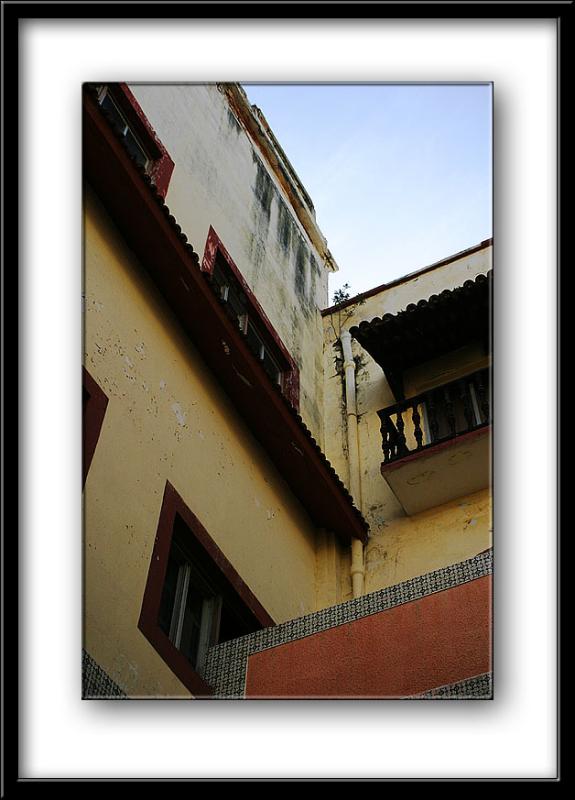 IMG_6564 copy.jpg