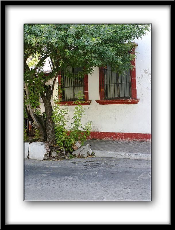 IMG_6573 copy.jpg