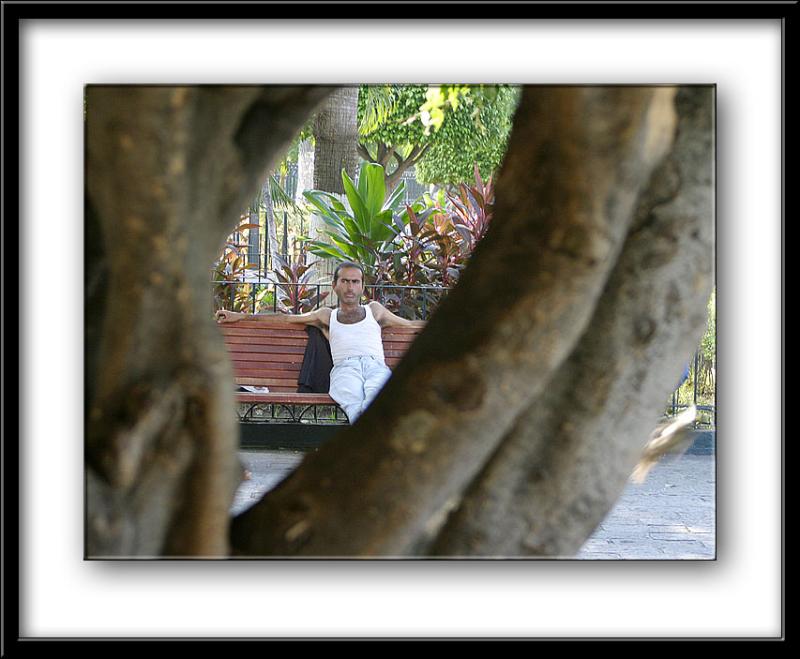 IMG_6638 copy.jpg