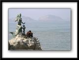 IMG_6516 copy.jpg