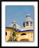 IMG_6535 copy.jpg