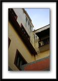 IMG_6564 copy.jpg