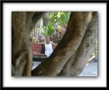 IMG_6638 copy.jpg
