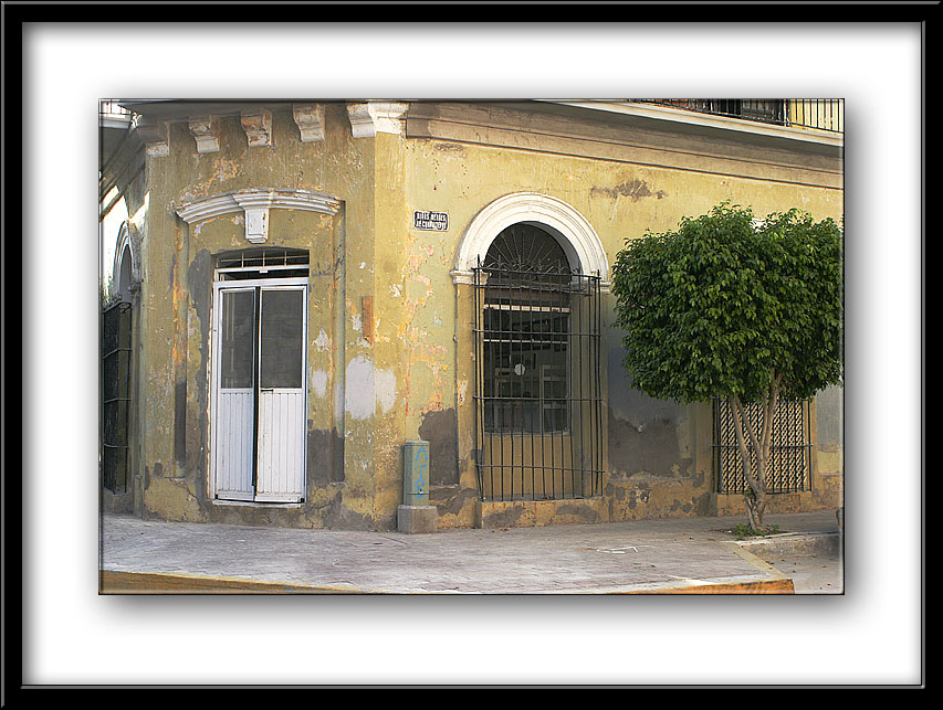 IMG_6602 copy.jpg