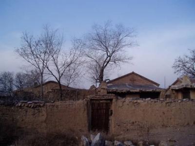 Pc300009.jpg
