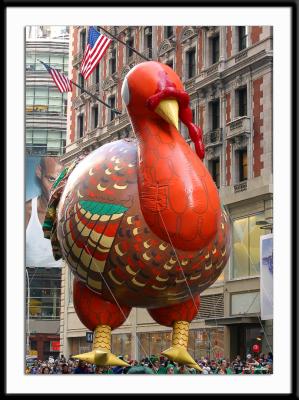 The first character balloon of the parade is the turkey, taken out of retirement from the 1950s.