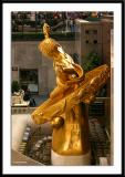 pbase_nyc_43.jpg