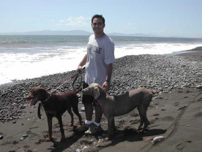 Dan Rukeyser & Dogs - Puntarenas
