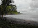 Playa-Islita-Palm.jpg