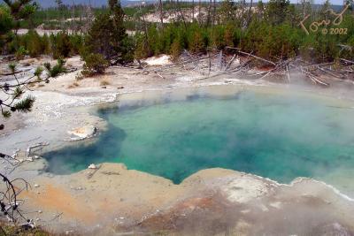 Yellowstone Park Emerald Spring