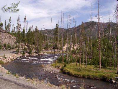 Yellowstone Park  River Along the Road